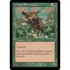 Pygmy Razorback (Foil NE, Stav Near Mint)