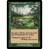 Wandering Stream (Foil NE, Stav Near Mint)
