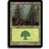 Forest (Foil NE, Stav Near Mint)