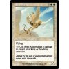 Aven Archer (Foil NE, Stav Near Mint)