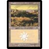 Plains - NON ENG CHI (Foil NE, Stav Near Mint)