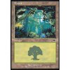 Forest (Foil NE, Stav Near Mint)