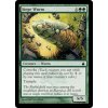 Siege Wurm (Foil NE, Stav Near Mint)