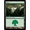 Forest (Foil ANO, Stav Near Mint)