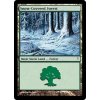 Snow-Covered Forest (Foil NE, Stav Light Played)