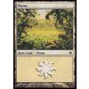 Plains (Foil ANO, Stav Near Mint)