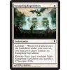 Sunspring Expedition (Foil ANO, Stav Near Mint)