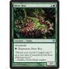 River Boa (Foil NE, Stav Near Mint)