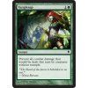 Tanglesap (Foil ANO, Stav Near Mint)