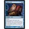 Augury Owl (Foil NE, Stav Near Mint)