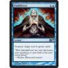 Flashfreeze (Foil ANO, Stav Near Mint)