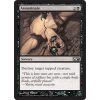 Assassinate (Foil ANO, Stav Near Mint)