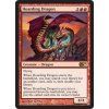 Hoarding Dragon (Foil NE, Stav Played)