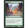 Naturalize (Foil NE, Stav Near Mint)