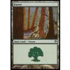 Forest (Foil NE, Stav Near Mint)