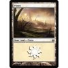 Plains (Foil NE, Stav Near Mint)