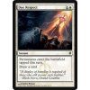 Due Respect (Foil NE, Stav Near Mint)
