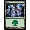 Forest (Foil NE, Stav Near Mint)