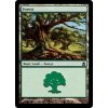 Forest (Foil NE, Stav Near Mint)