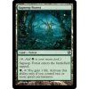 Sapseep Forest (Foil NE, Stav Near Mint)