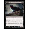 Black Cat (Foil NE, Stav Near Mint)