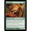 Young Wolf (Foil NE, Stav Near Mint)