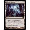 Haunted Fengraf (Foil ANO, Stav Near Mint)