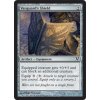 Vanguard's Shield (Foil NE, Stav Near Mint)