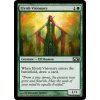 Elvish Visionary (Foil NE, Stav Near Mint)