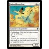 Avian Changeling (Foil NE, Stav Near Mint)