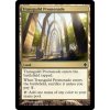 Transguild Promenade (Foil NE, Stav Near Mint)