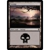 Swamp (Foil NE, Stav Near Mint)