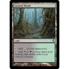 Tainted Wood (Foil NE, Stav Near Mint)