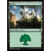 Forest (Foil ANO, Stav Near Mint)