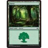 Forest (Foil ANO, Stav Near Mint)