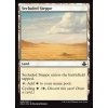 Secluded Steppe (Foil NE, Stav Near Mint)