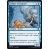 Somber Hoverguard (Foil NE, Stav Near Mint)