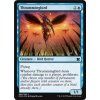 Thrummingbird (Foil NE, Stav Near Mint)