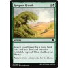 Rampant Growth (Foil NE, Stav Near Mint)