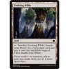 Evolving Wilds (Foil ANO, Stav Near Mint)