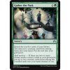 Gather the Pack (Foil NE, Stav Near Mint)