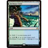 Yavimaya Coast (Foil NE, Stav Near Mint)