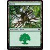 Forest (Foil NE, Stav Near Mint)