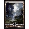 Swamp - Full Art (Foil ANO, Stav Near Mint)