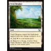 Vivid Meadow (Foil NE, Stav Near Mint)