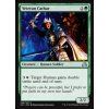 Veteran Cathar (Foil ANO, Stav Near Mint)