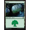 Forest (Foil ANO, Stav Near Mint)