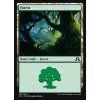 Forest (Foil ANO, Stav Near Mint)