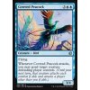 Coveted Peacock (Foil NE, Stav Near Mint)