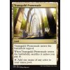 Transguild Promenade (Foil NE, Stav Near Mint)